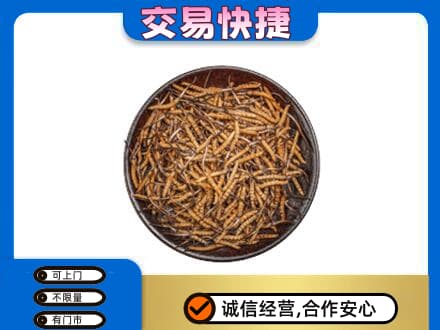 抚州临川区高价回收散虫草